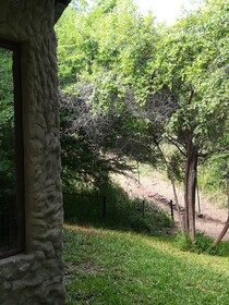 Mount Hermon Safari Cottages