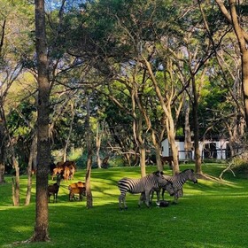 Sakae Paradise Resort