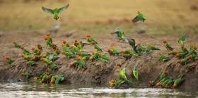 Kavinga Safari Camp