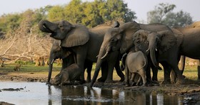 Kavinga Safari Camp