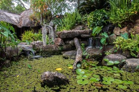 Amanzi Lodge