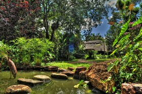 Amanzi Lodge