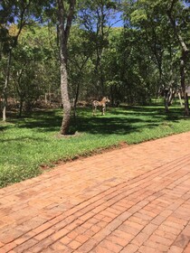 Manna Resorts