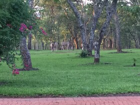 Manna Resorts
