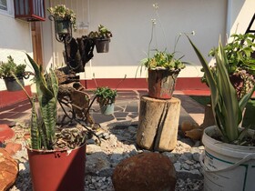 Mpofu Bed & Breakfast