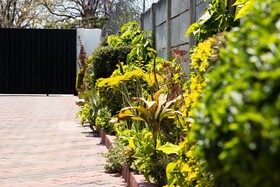 Mpofu Bed & Breakfast