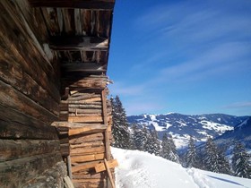Wiesenegg