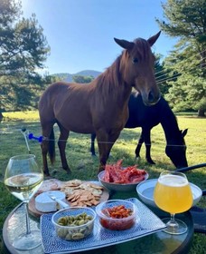 Kanimbia Luxury Glamping