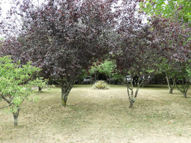 Somerset Beachside Cabin and Caravan Park