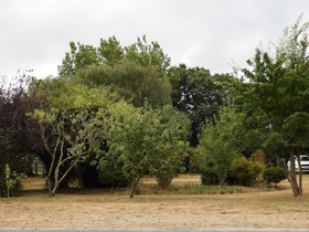 Somerset Beachside Cabin and Caravan Park