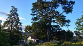 Ambience on Huon Bed & Breakfast