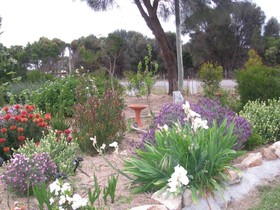Flinders Island Cabin Park