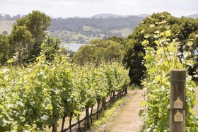 Armalong Winery Chalets