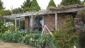 Blueberry B&B