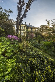 Corinda Contemporary