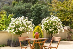 Brightwater bed and breakfast