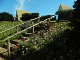 Island Breeze Motel