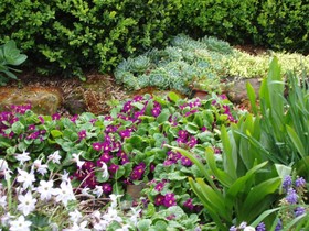 Topiary Haven