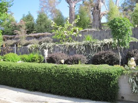 Trevallyn House B & B