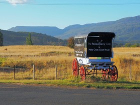 Wandering Trout Taphouse