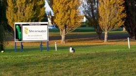 Shearwater Resort