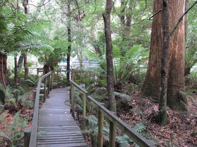 Arthur River Holiday Units