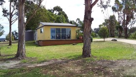 Pelican Point Sanctuary