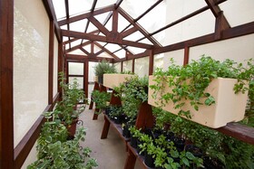 Manchebo Beach Resort & Spa