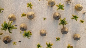 Manchebo Beach Resort & Spa