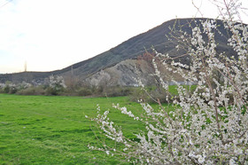 F Garden Hotel