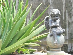 Selera Dunia Boutique Hotel