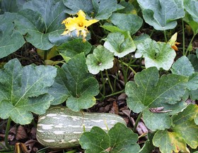 Pousada Rio Da Prata