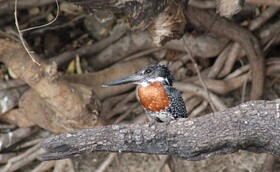 Sandpiper Villas Chobe