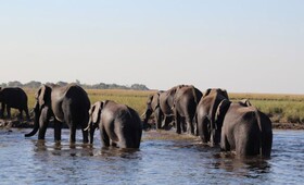 Sandpiper Villas Chobe