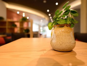 Ibis Shanghai New Hongqiao Hotel