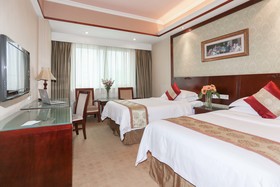 Vienna Guowang