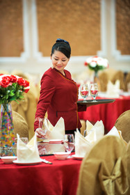 Vienna Guowang