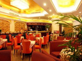 Vienna Guowang