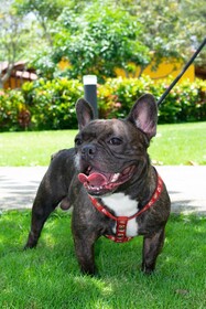 Senderos del Mar Tayrona