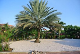 Piscadera Bay Resort