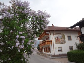 Bergpanorama