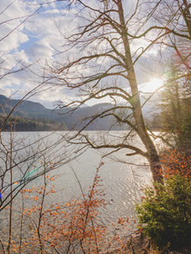Ameron Hotel Neuschwanstein Alpsee Resort & Spa