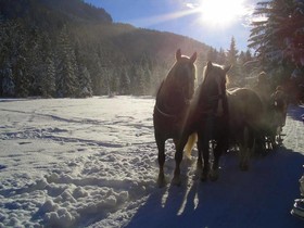Ritter am Tegernsee