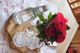 Holzerhof Ferienwohnungen & Wellness