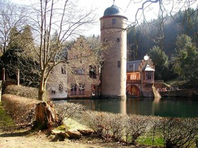 der Hobelspan