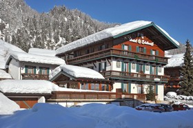 Edelweiss