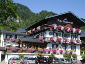 Edelweiss
