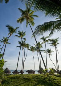 Meliá Caribe Beach Resort
