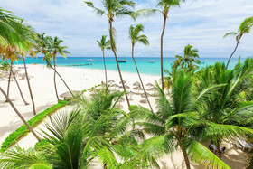 Art Villa Dominicana