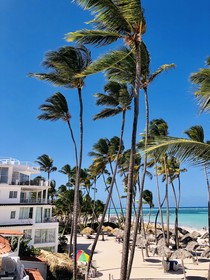 Ducassi Rooftop Pool Deluxe Suites